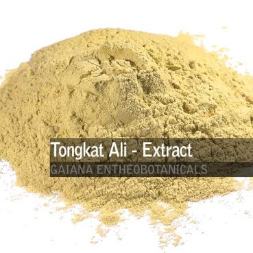 Eurycoma-Longifolia-Tongkat-Ali-Extract