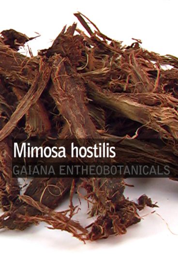 mimosa-hostilis-root-bark