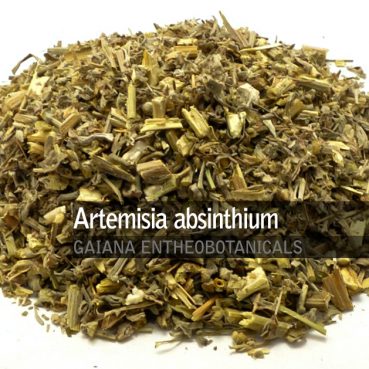 Artemisia-absinthium