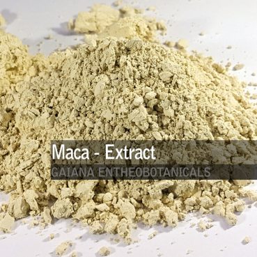 Lepidium meyenii Maca-Extract