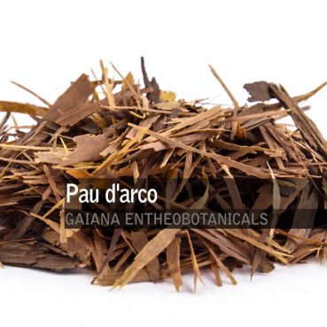 Handroanthus-impetiginosus-Pau-DArco