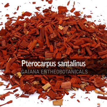 Pterocarpus santalinus -Sandelwood-