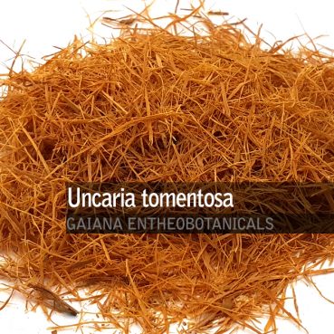 Uncaria tomentosa -cat's claw-