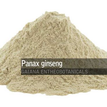 Panax-Ginseng-Powder-White