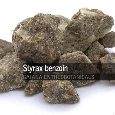 Styrax benzoin -Styrax-