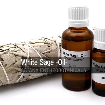 White-Sage-Oil