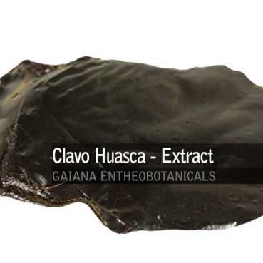 Tynnanthus-panurensis-Clavo-Huasca-Extract